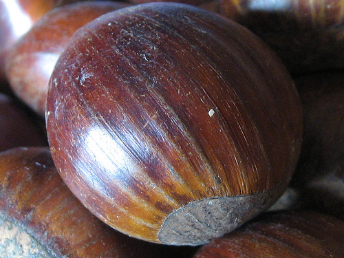 chestnuts.jpg