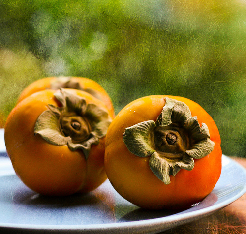 persimmons.jpg