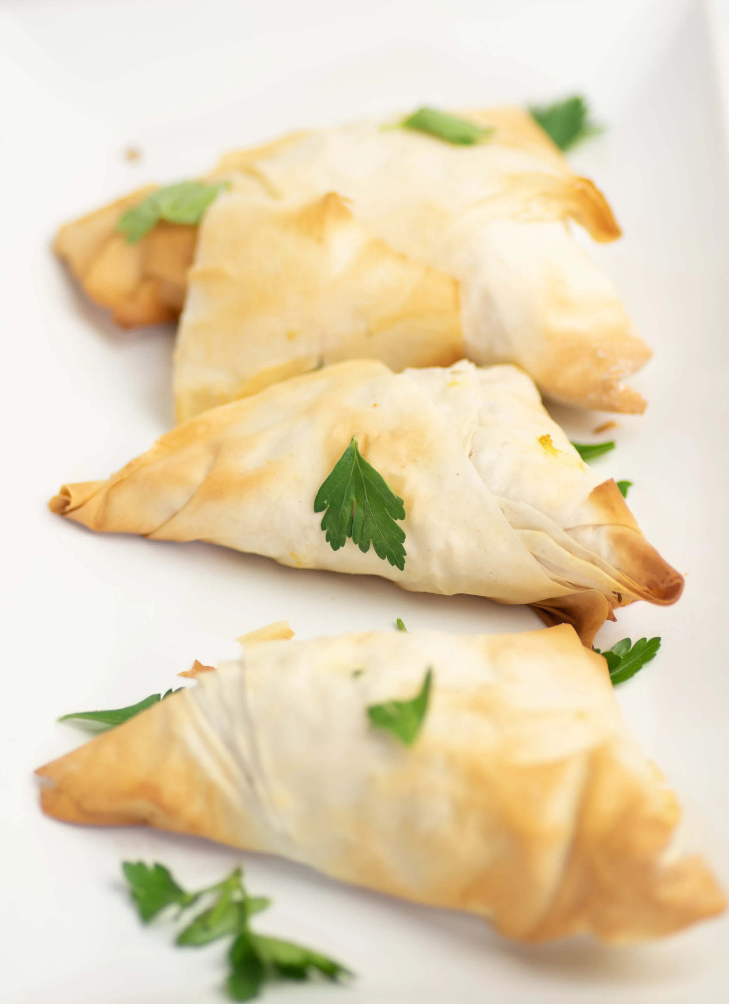 Turnovers (10 of 11).jpg