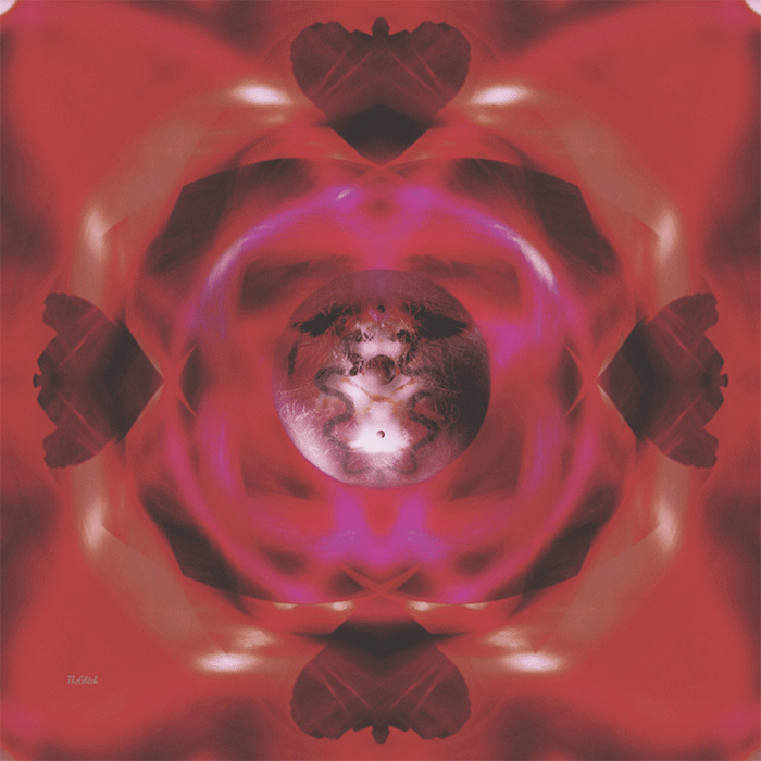 Ancient-Roots-Compressed.gif