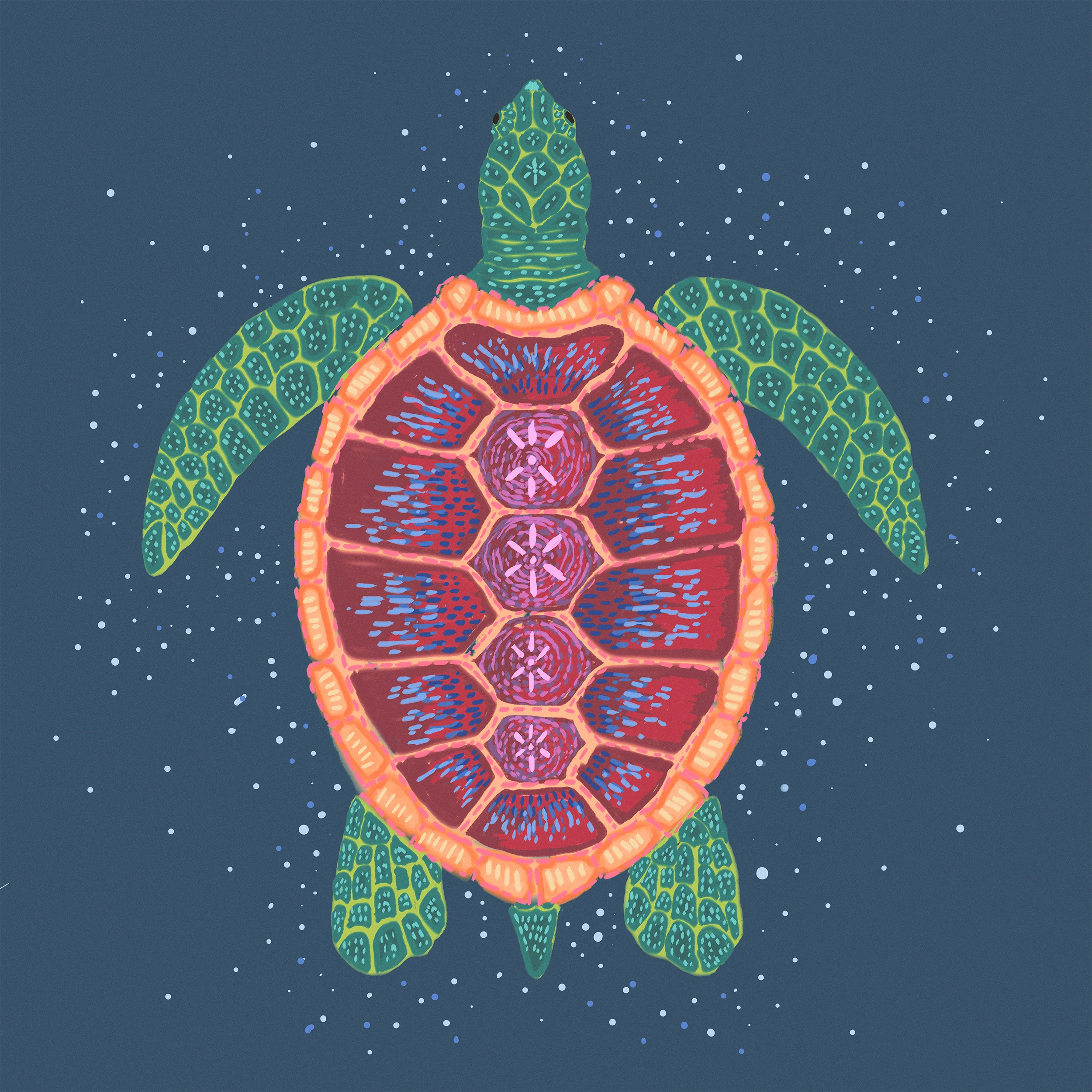 turtle website ready.jpg