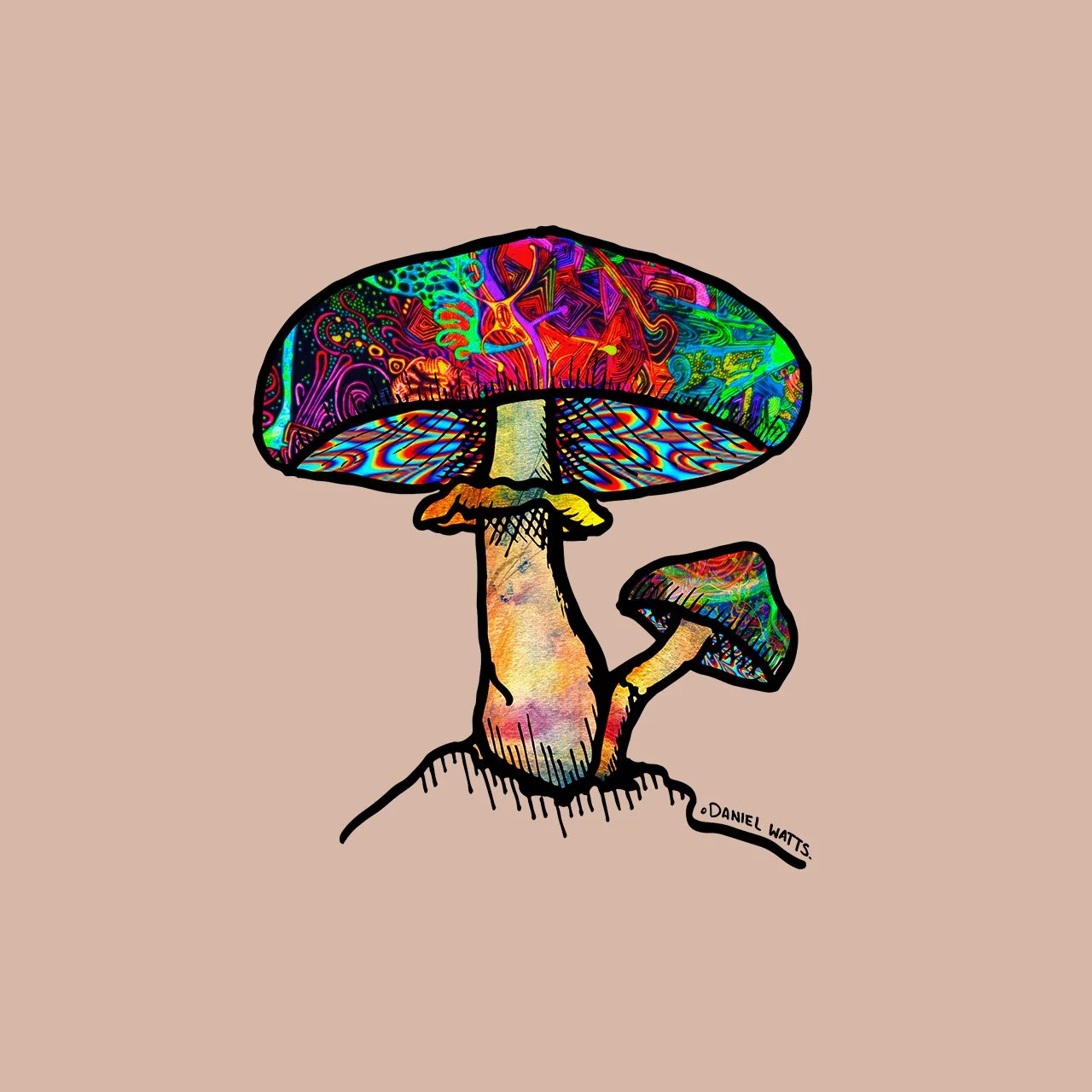 Papa Shroom GAL Shroom.jpg