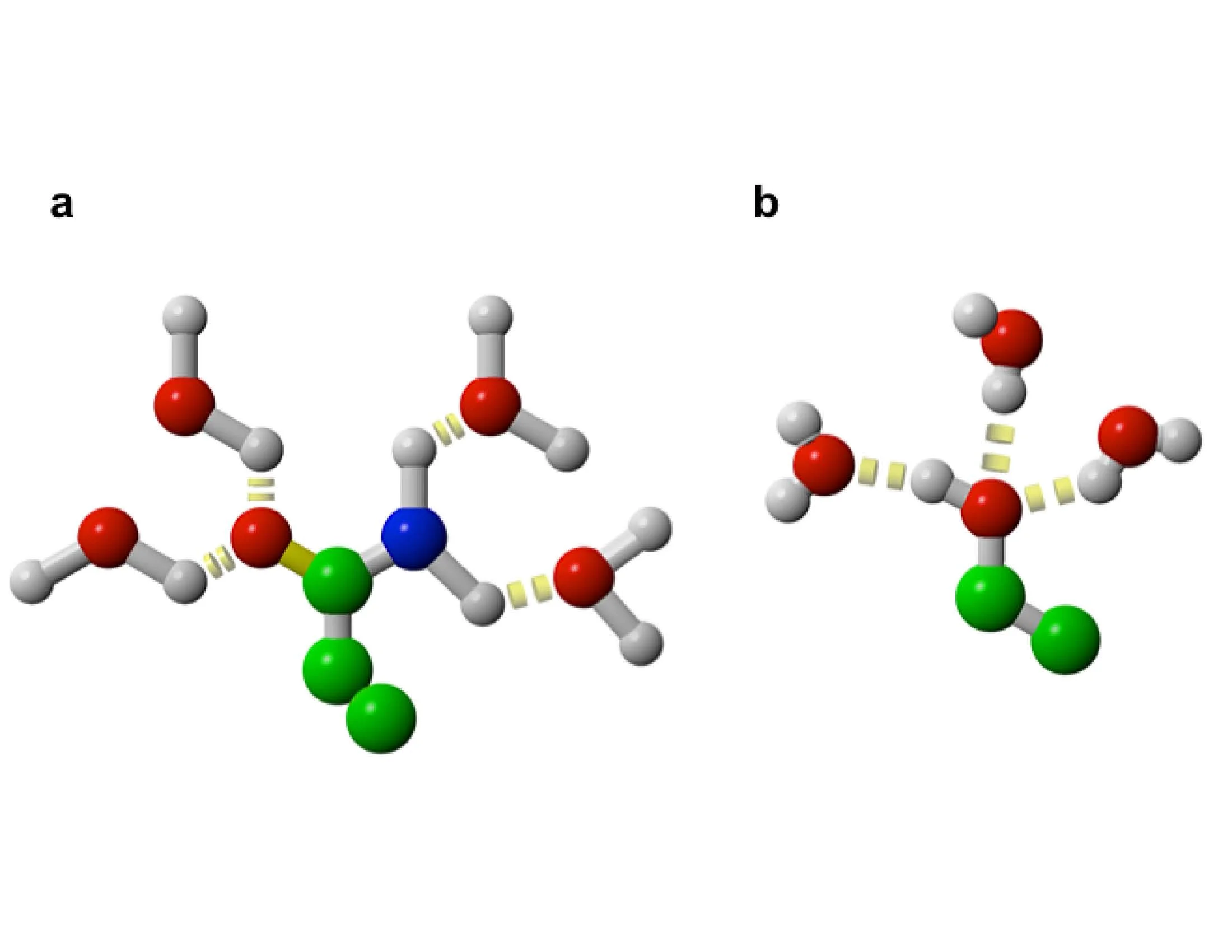 Four water molecules surround the side chains of glutamine and asparagine, and three water molecules surround the side chains of serine, threonine, and tyrosine.