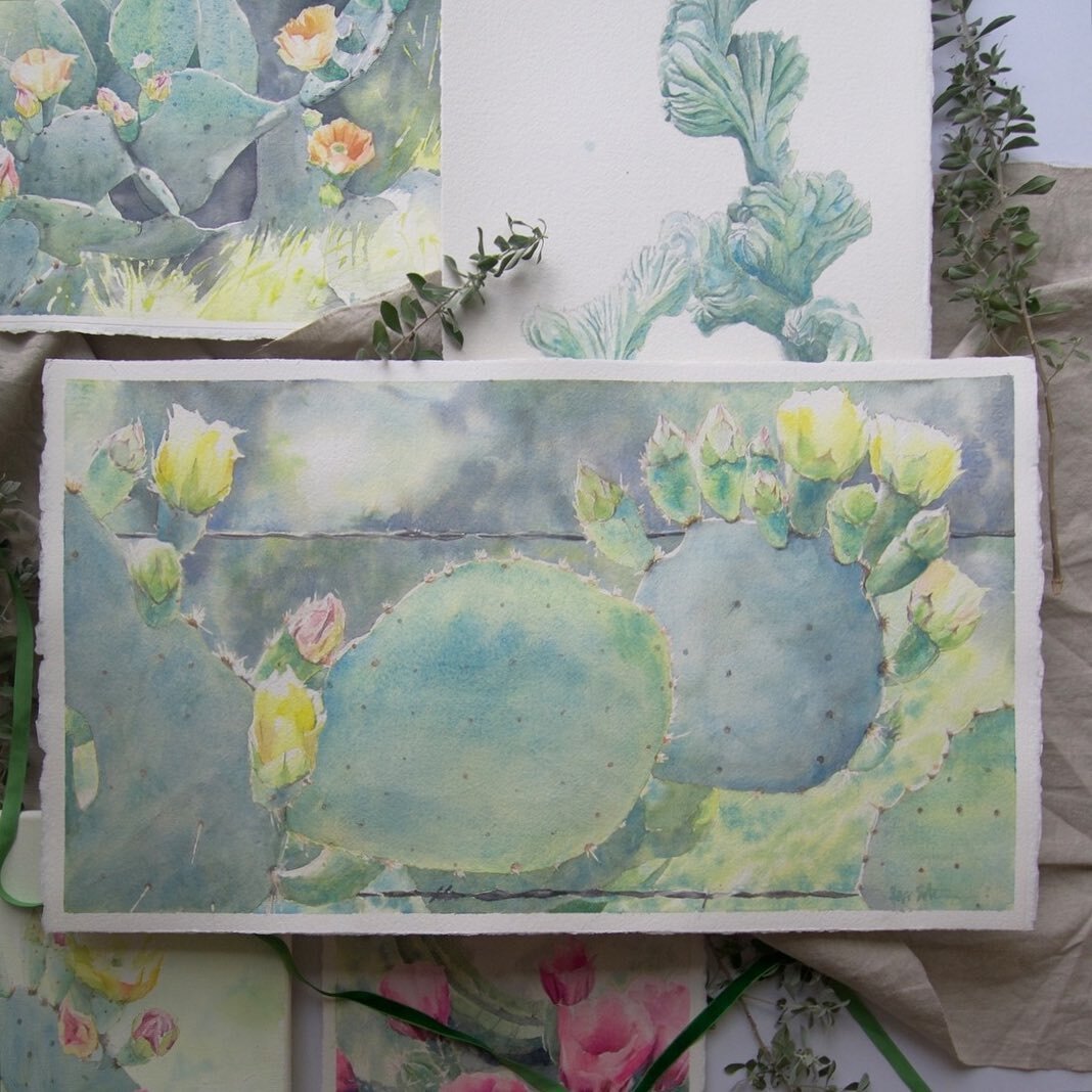 shades of green to warm up a chilly morning. #watercolorcactus #satxartist #pricklypear