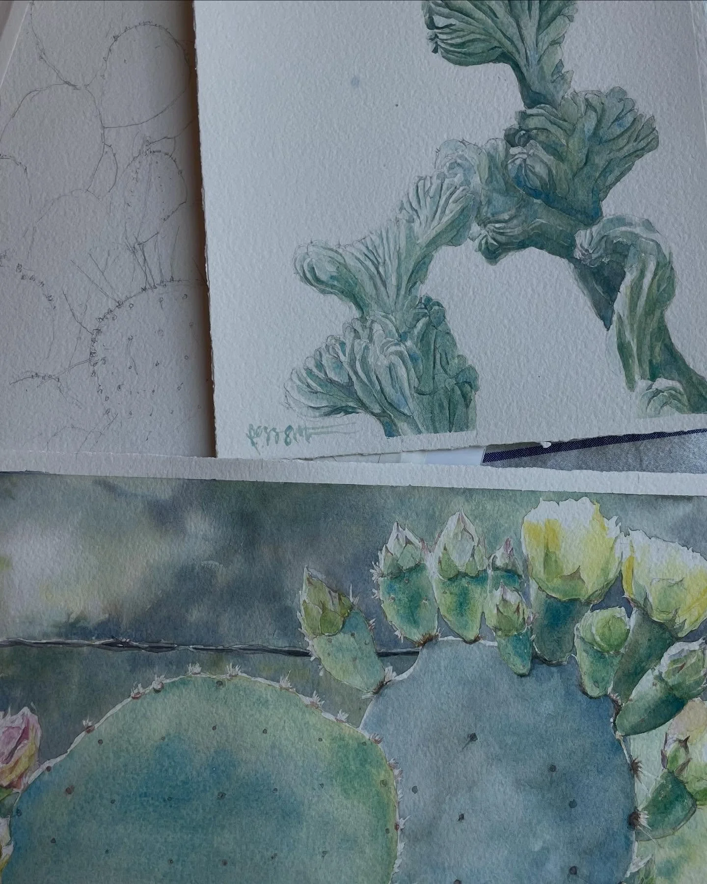 I love abstract art - the emotion, movement and color - but I find myself drawn to tangible subjects in my paintings. With paint, I can call attention to a moment in time when the light illuminates the flower or highlights the color of a cactus paddl