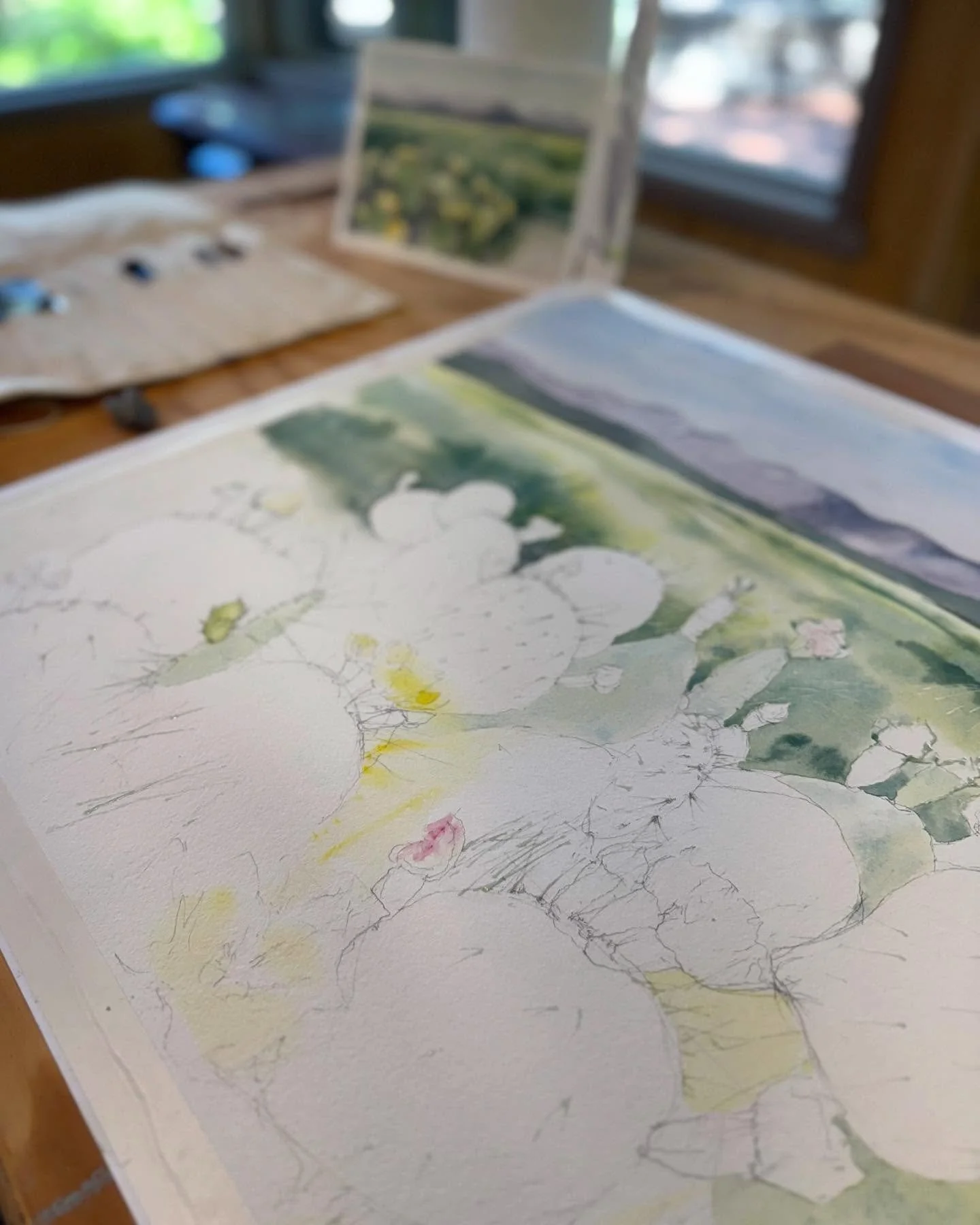 What a fun and full few months watching these paintings emerge, layer by layer. There is nothing quite like a west Texas landscape!