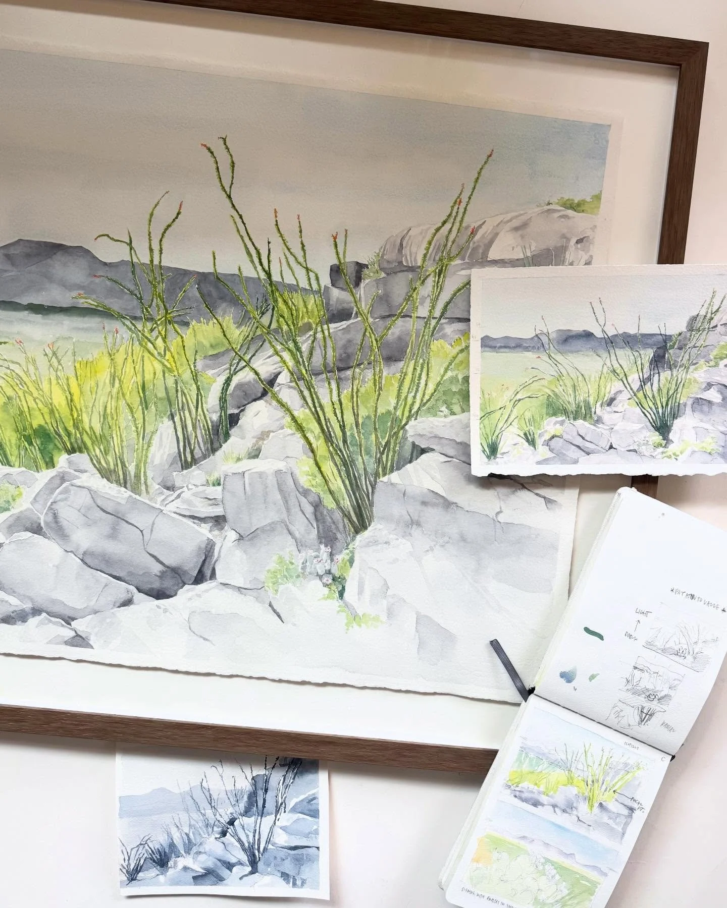 I&rsquo;ve been looking back over the last year with gratitude. I&rsquo;m grateful for the opportunity to capture a beautiful ranch outside of Marathon, Texas. Here, I hiked up a south-facing rocky hillside full of blooming Ocotillo. From the camera 