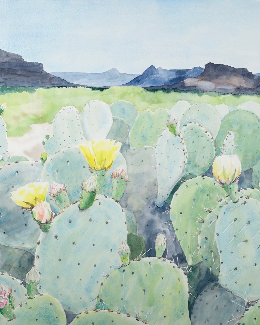 Early blooms in the Chihuahuan Desert (detail of larger painting)
