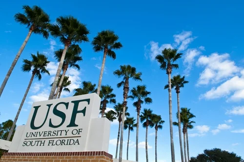 University of South Florida - August 2000 to May 2006