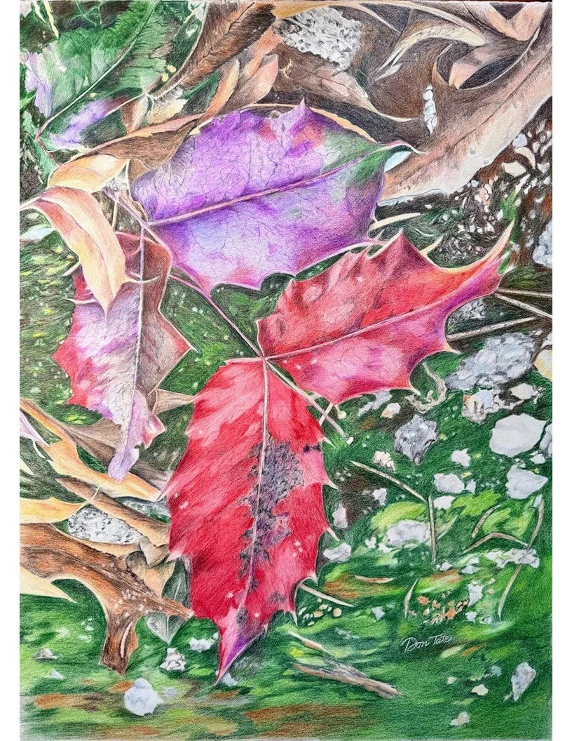 Leaves at Pudget Sound - Don Tate.jpg