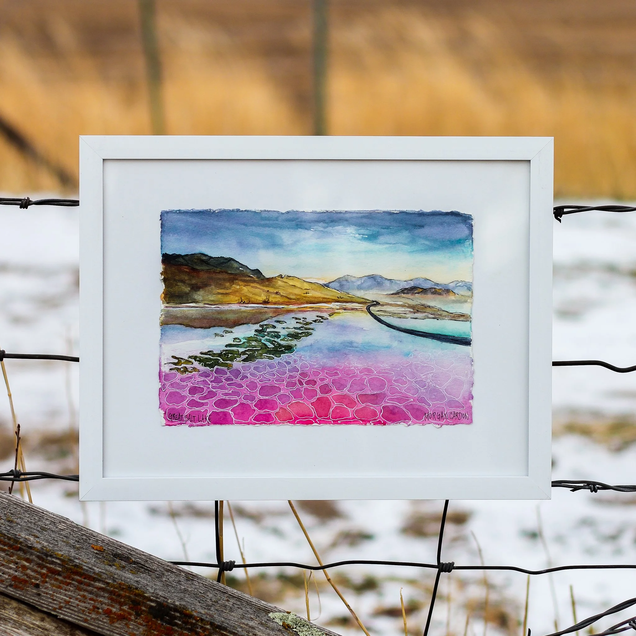 Morgan Cardon - Great Salt Lake - Morgan Cardon.jpg