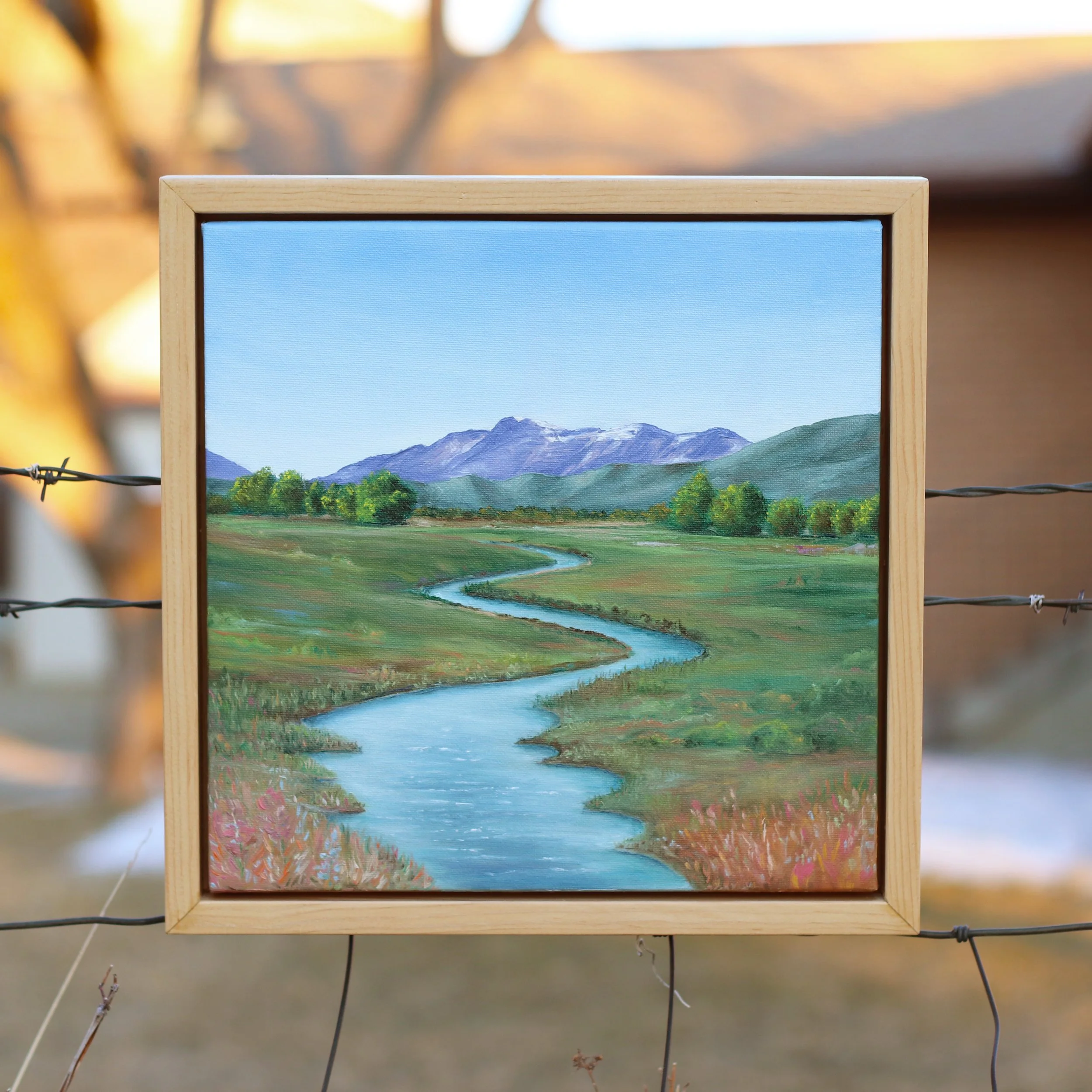 Morgan Cardon - Heber Valley - Morgan Cardon.jpg
