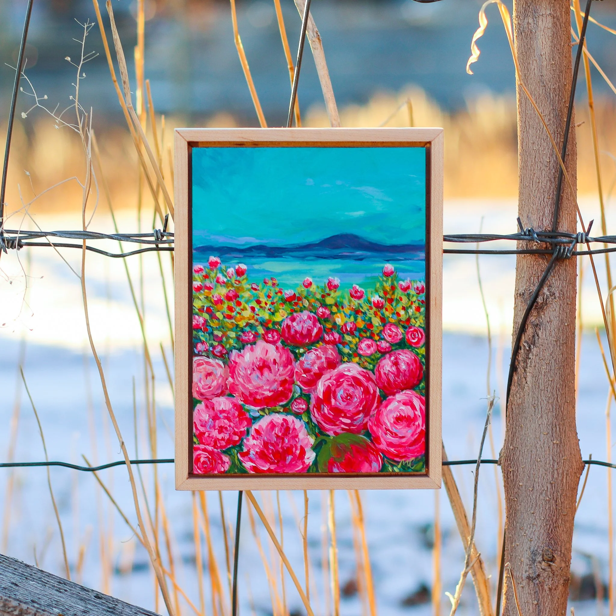 Morgan Cardon - Coastal Flowers - Morgan Cardon.jpg