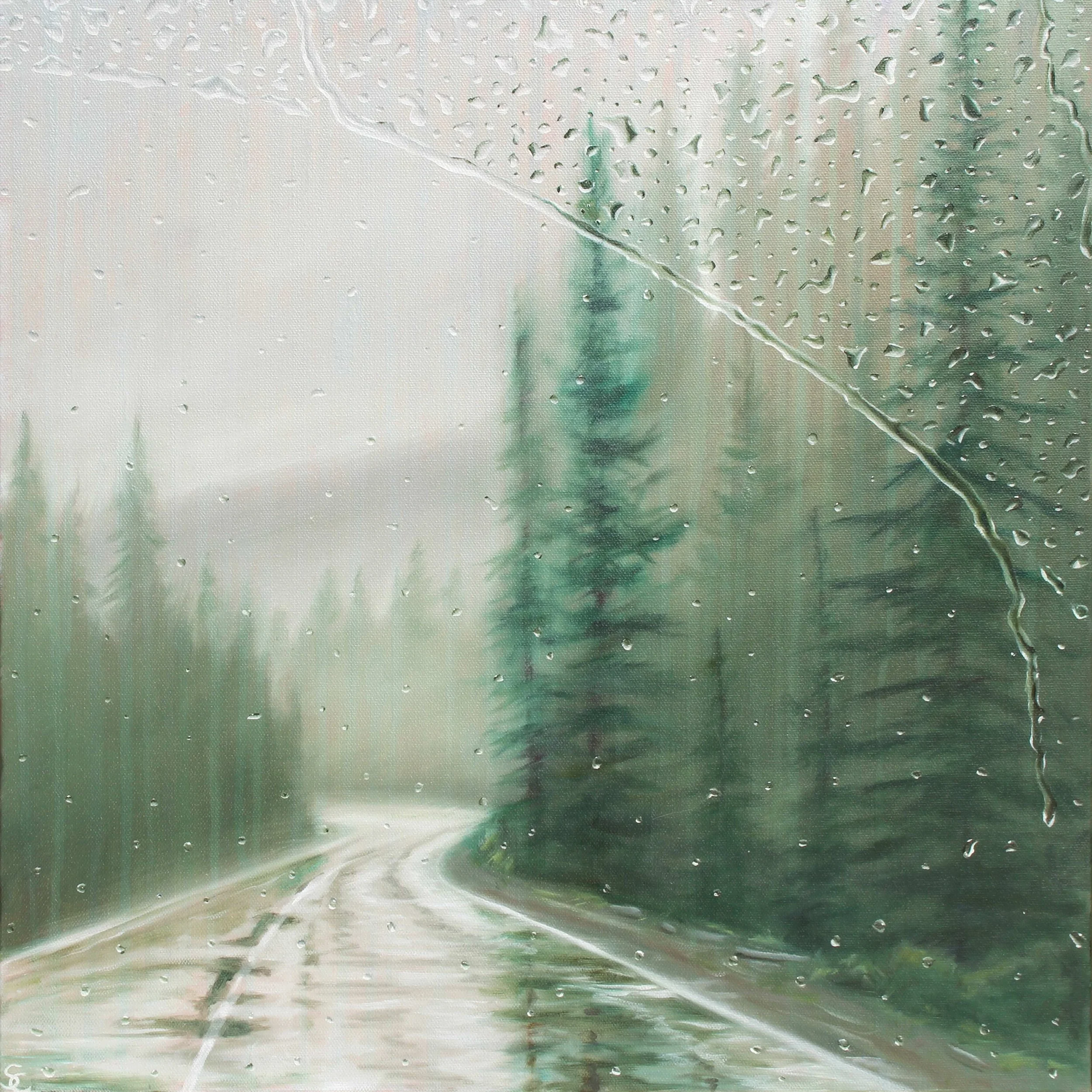 Shelly Coleman Rainy Drive through the pines - Shelly Coleman.jpg