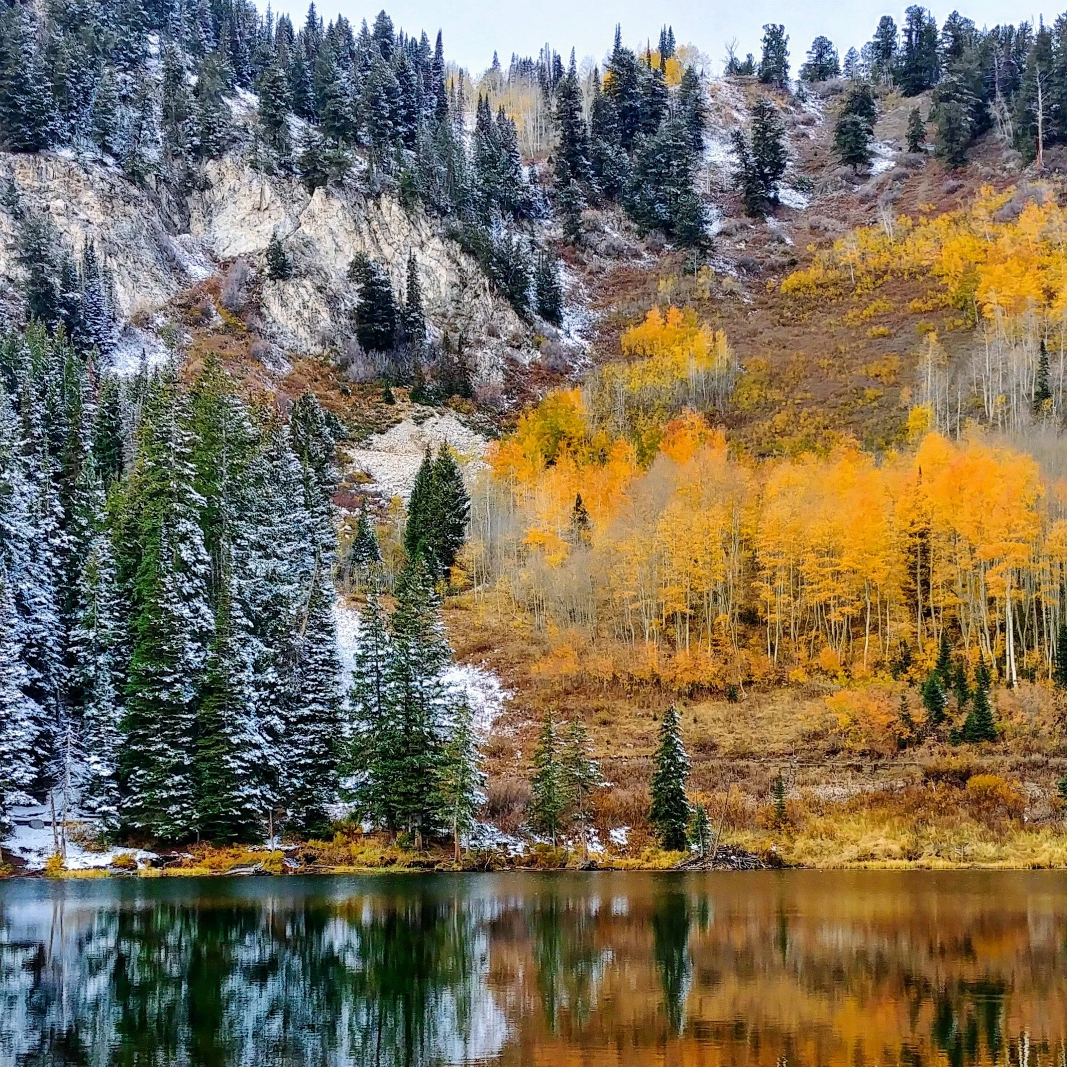 When Seasons Collide - Jacque Tietjen - Jacque Tietjen.jpg