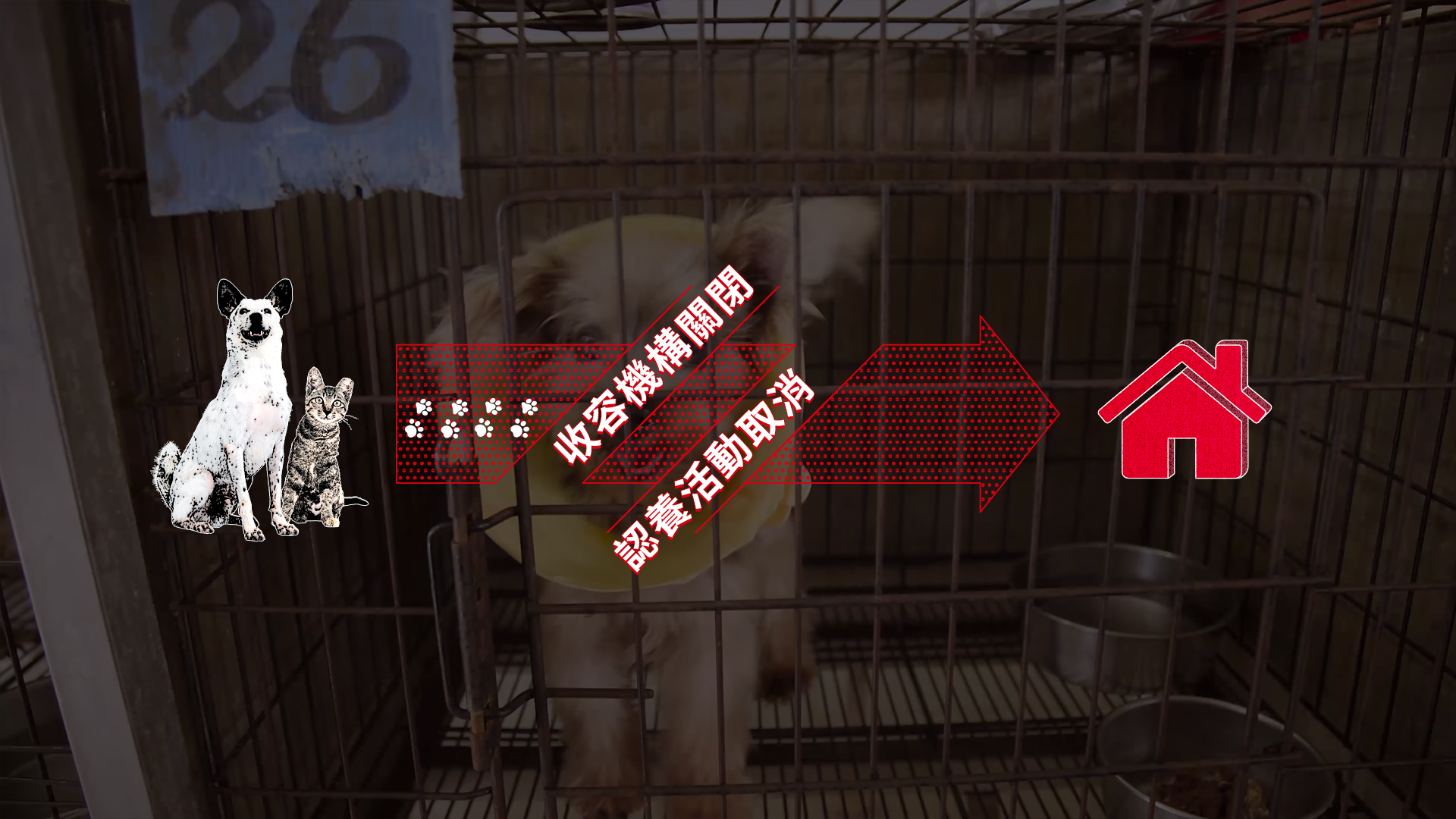 As people isolate at home, online shopping becomes more frequent.