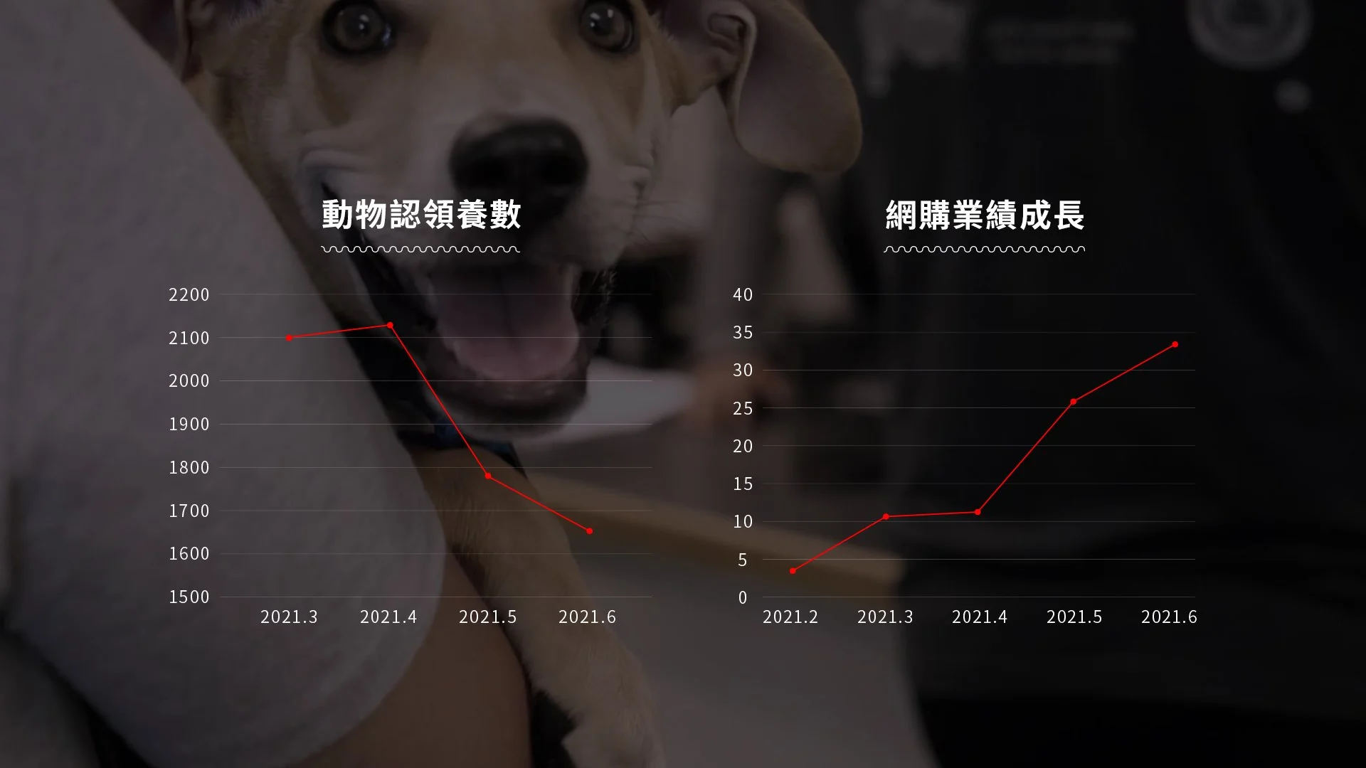 We found a point of convergence between physical adoption and online shopping.