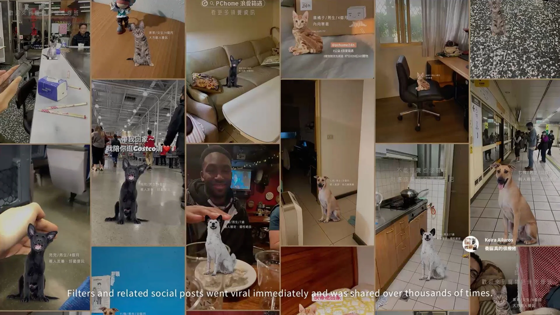 We successfully conveyed the message that online shopping brands are committed to helping society in addition to providing shopping experiences.