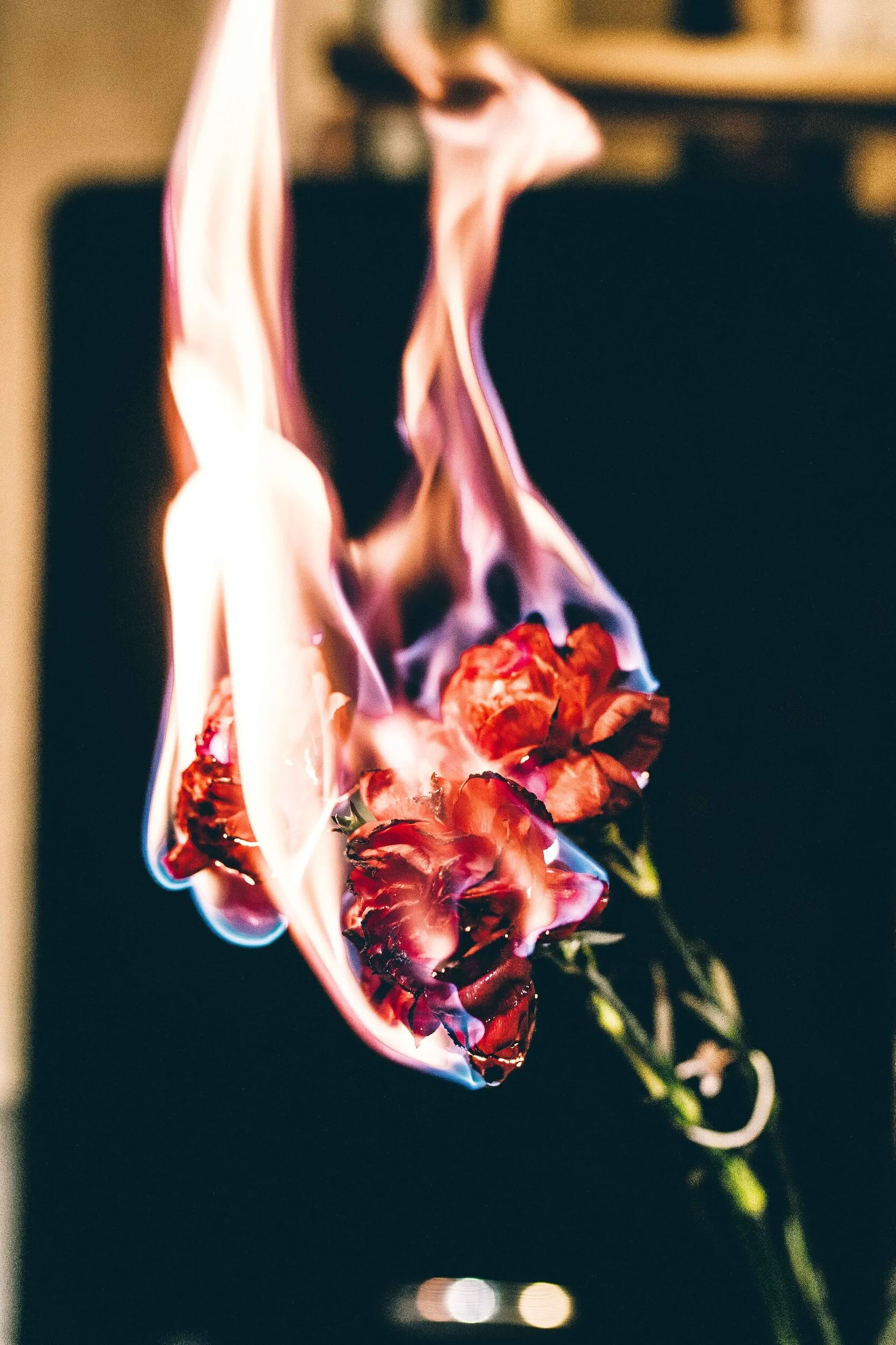 5 Signs You Are Not Ready For a New Relationship