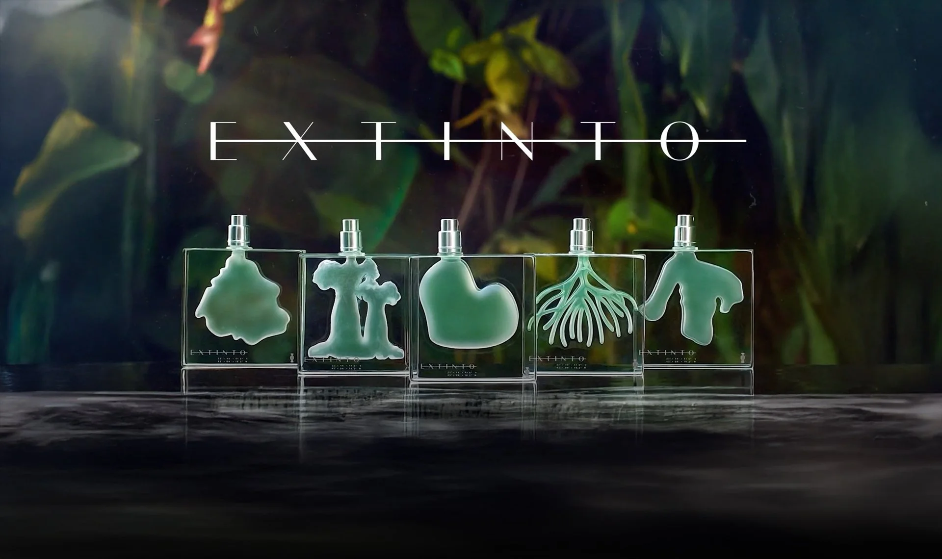 Screenshot+2024-11-18+at+16.39.52 copy.jpg