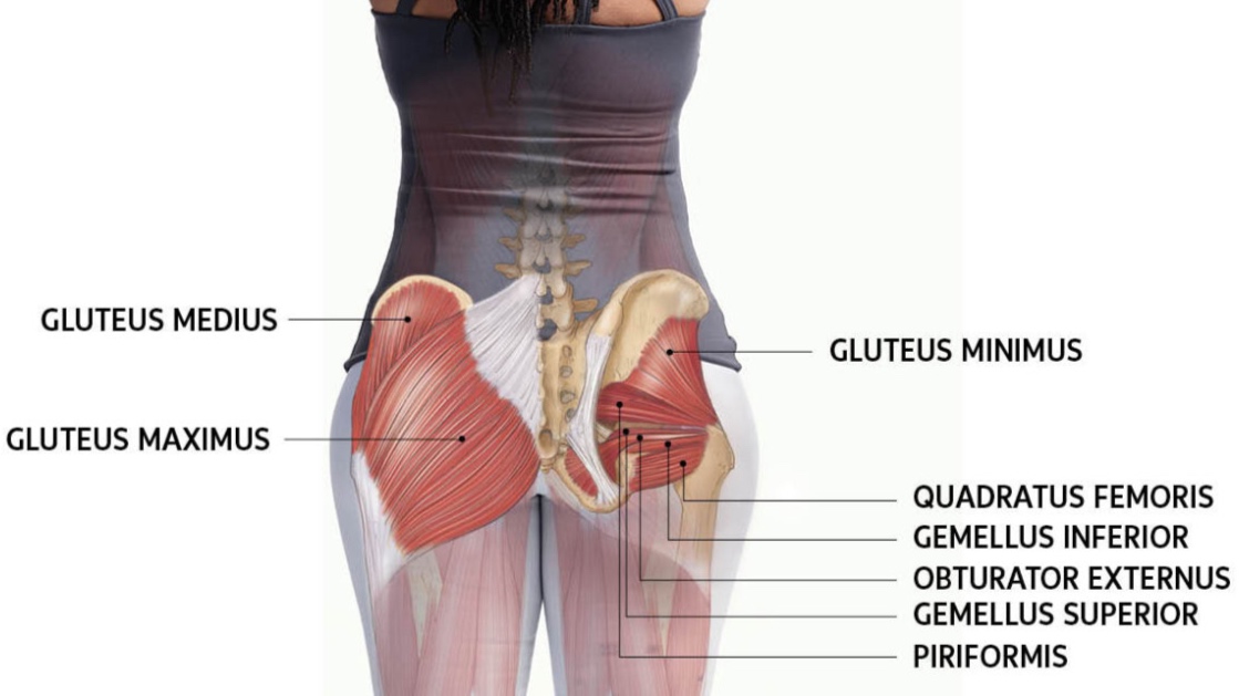 glute-exercises-diagram.jpg