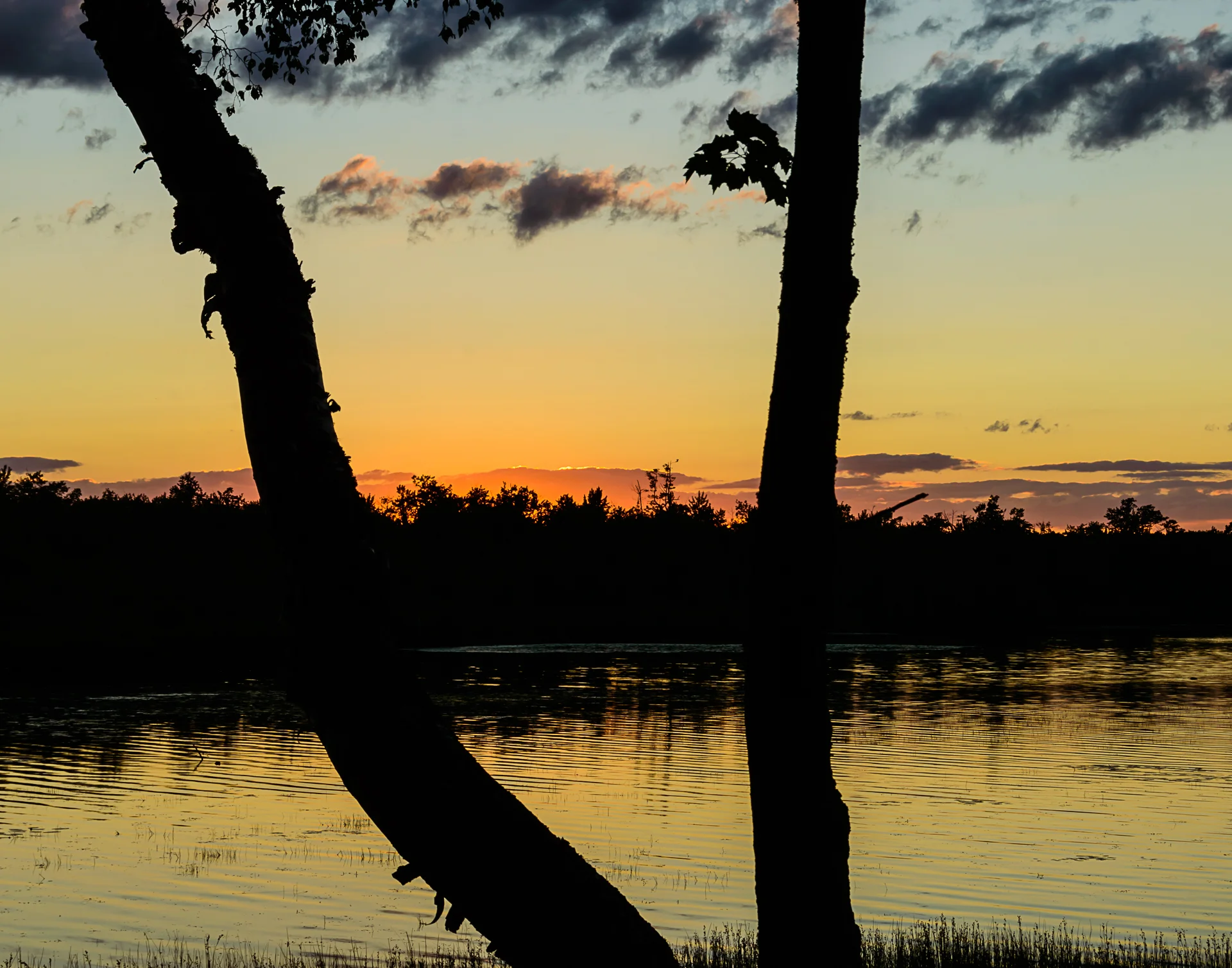 DSC_9514.jpg