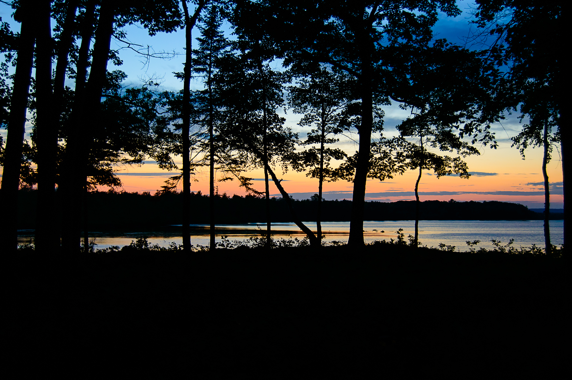 DSC_9456.jpg