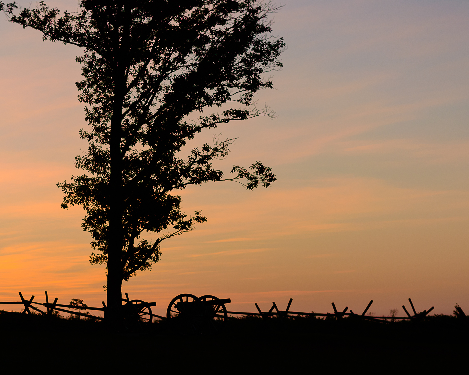 DSC_0132-2.jpg