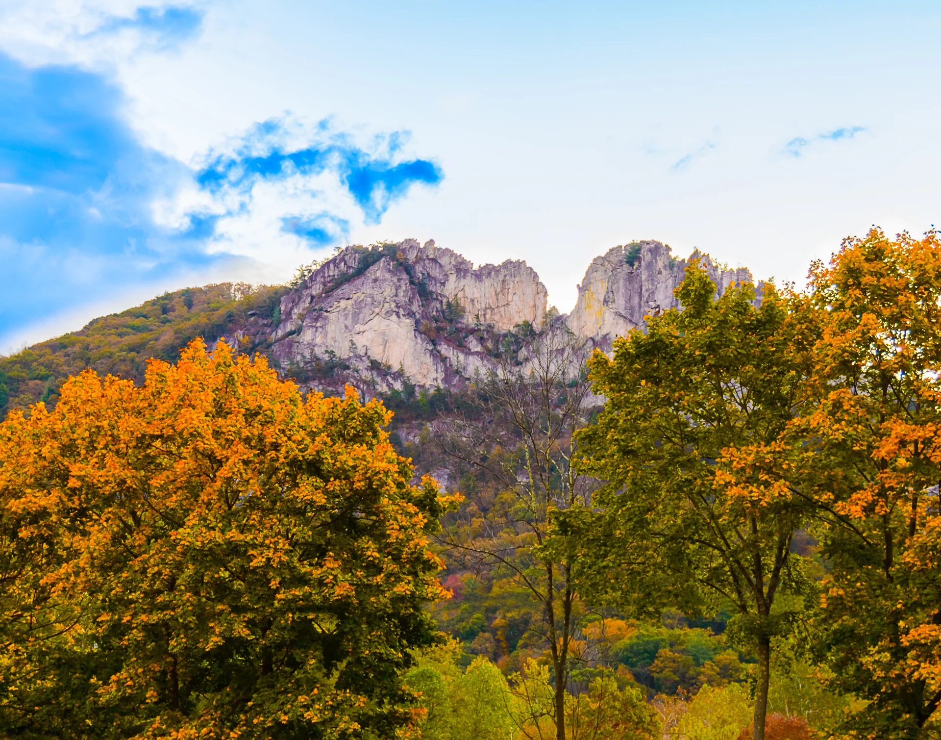 untitled-11-Edit.jpg