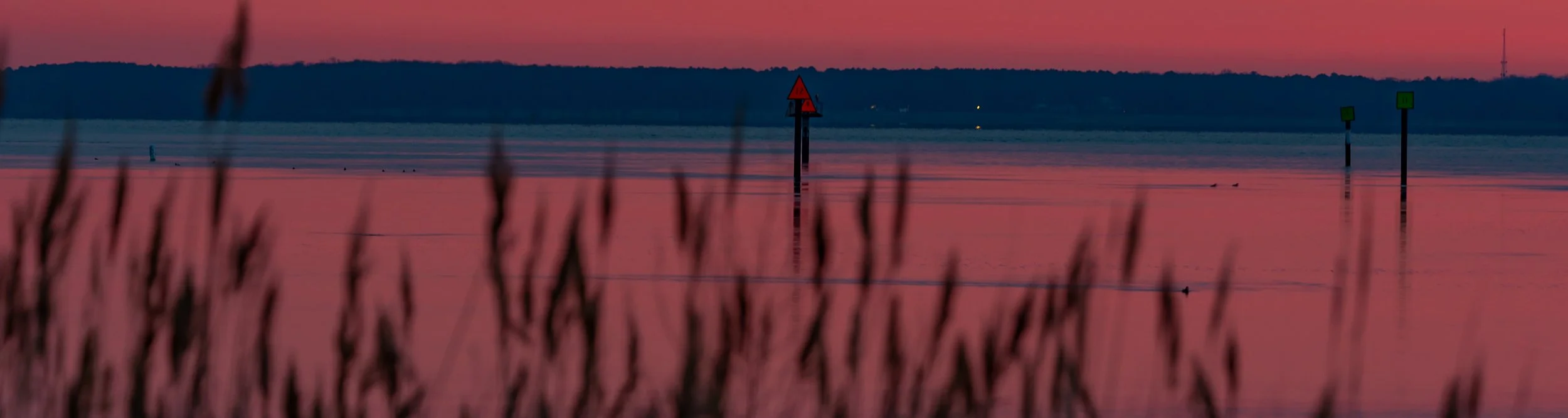 Sunset over a calm water with navigational markers and reeds in the foreground.