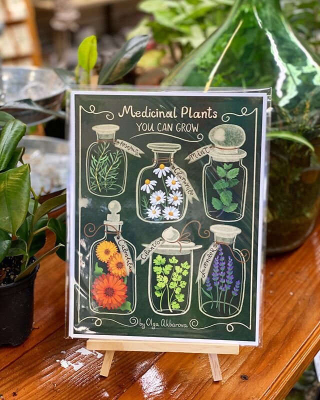 Please share my joy! I&rsquo;m so honored to be the first artist showcased at the brand new plant shop located right in the heart of downtown San Jose! @plantlushsj is a wonderful store filled with handcrafted ceramics, huge variety of plants and a l