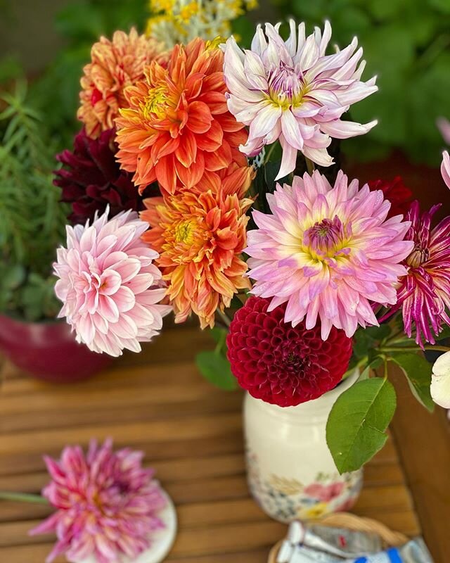 Can you believe it&rsquo;s dahlia season already? I just came back from the local @santacruzdahlias farm with hands full of freshly picked flowers and can&rsquo;t wait to paint all of them! 🧡 .
.
.
.
.
.
.
.
.
.
.
#weekendplans #findyourinspiration 
