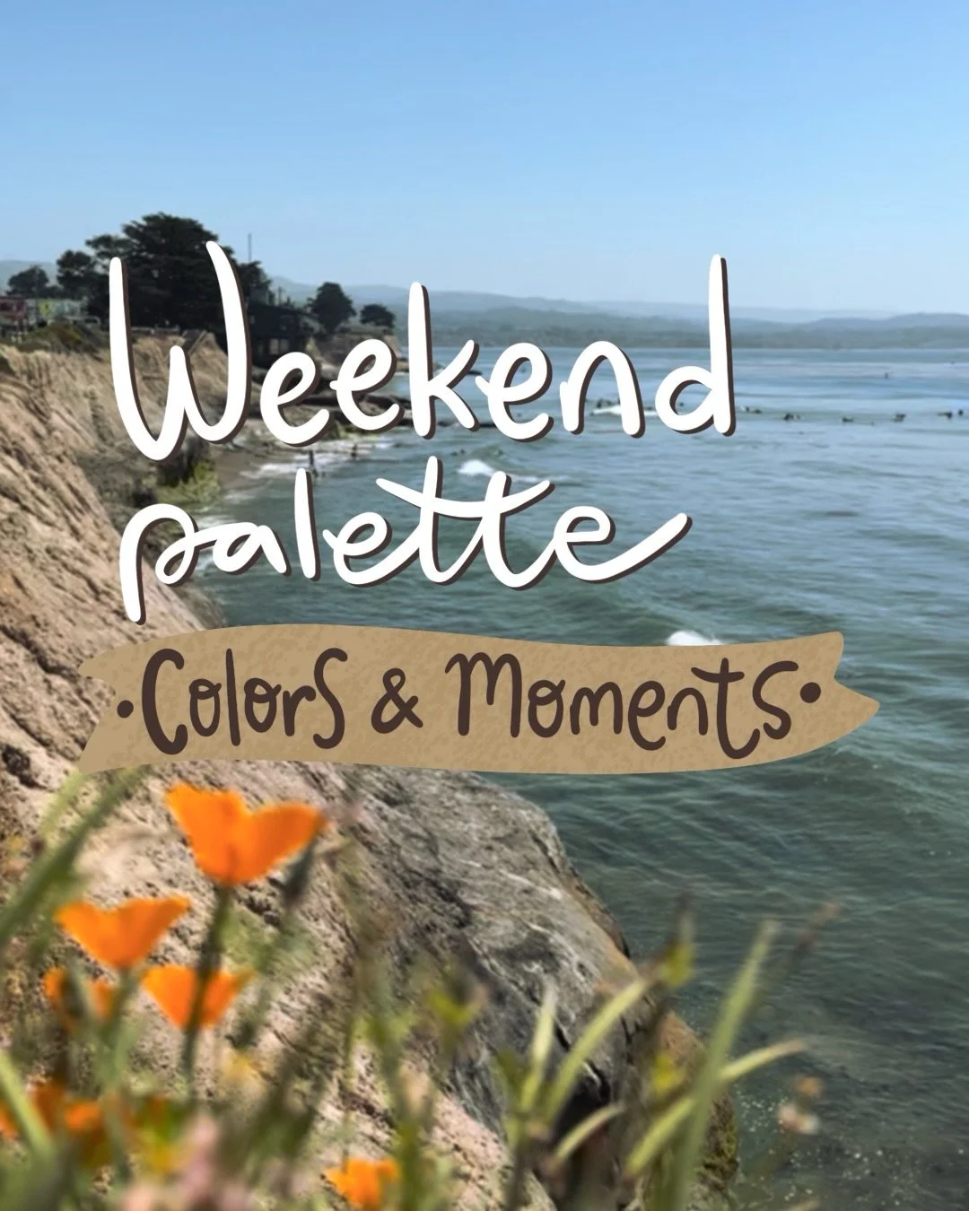 Sunset glow, wisteria in bloom, studio hours,
and a tiny quail heading to its new home 🧡

&hellip;plus my son&rsquo;s birthday happening off camera 1️⃣5️⃣ definitely the main event of the weekend 🎂😊
Happy Monday and have a great week! 🧡
.
.
#olga