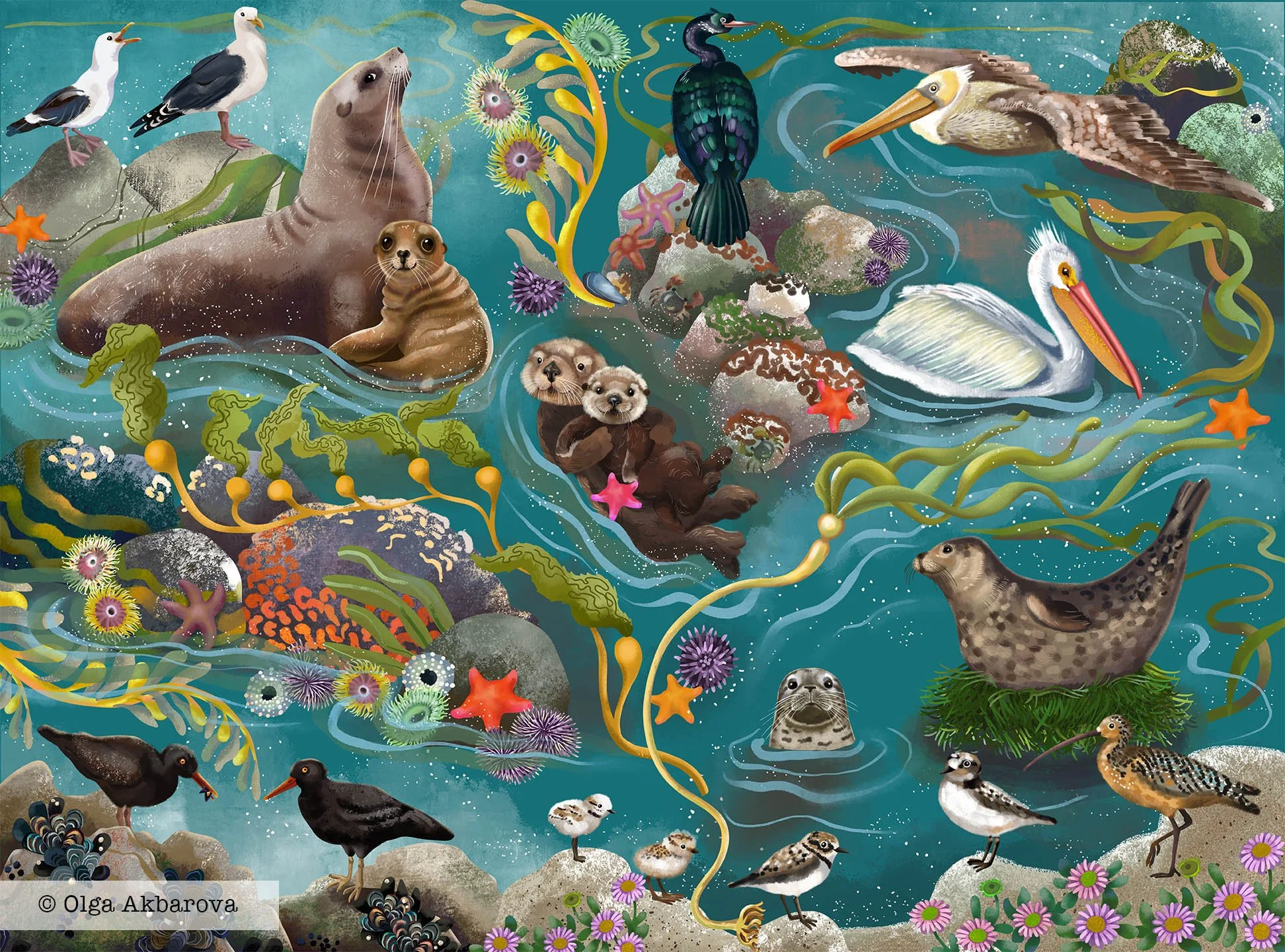 Coastal Wildlife. Available for Licensing 27x20