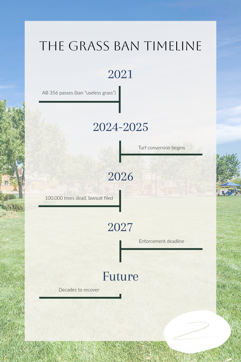 Turf conversion work in Las Vegas removing grass potentially threatening mature trees and property values
