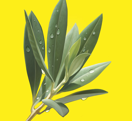 hyper real olive leaf