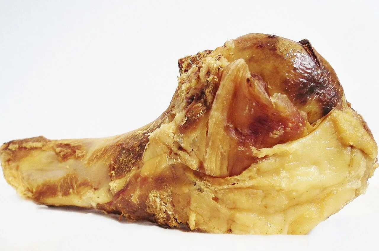 Beef Humerus