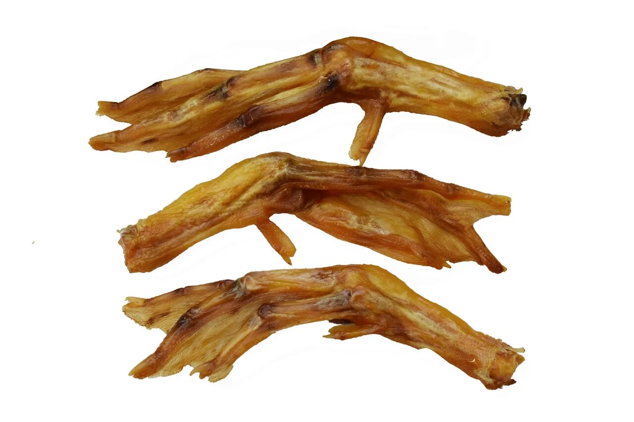 Duck Feet