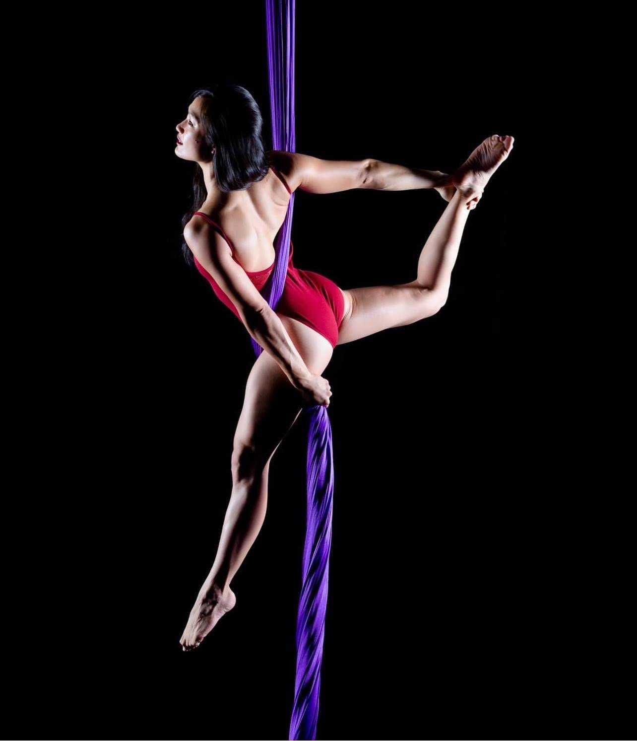 Wild Spirit Aerial Arts Silks Performer