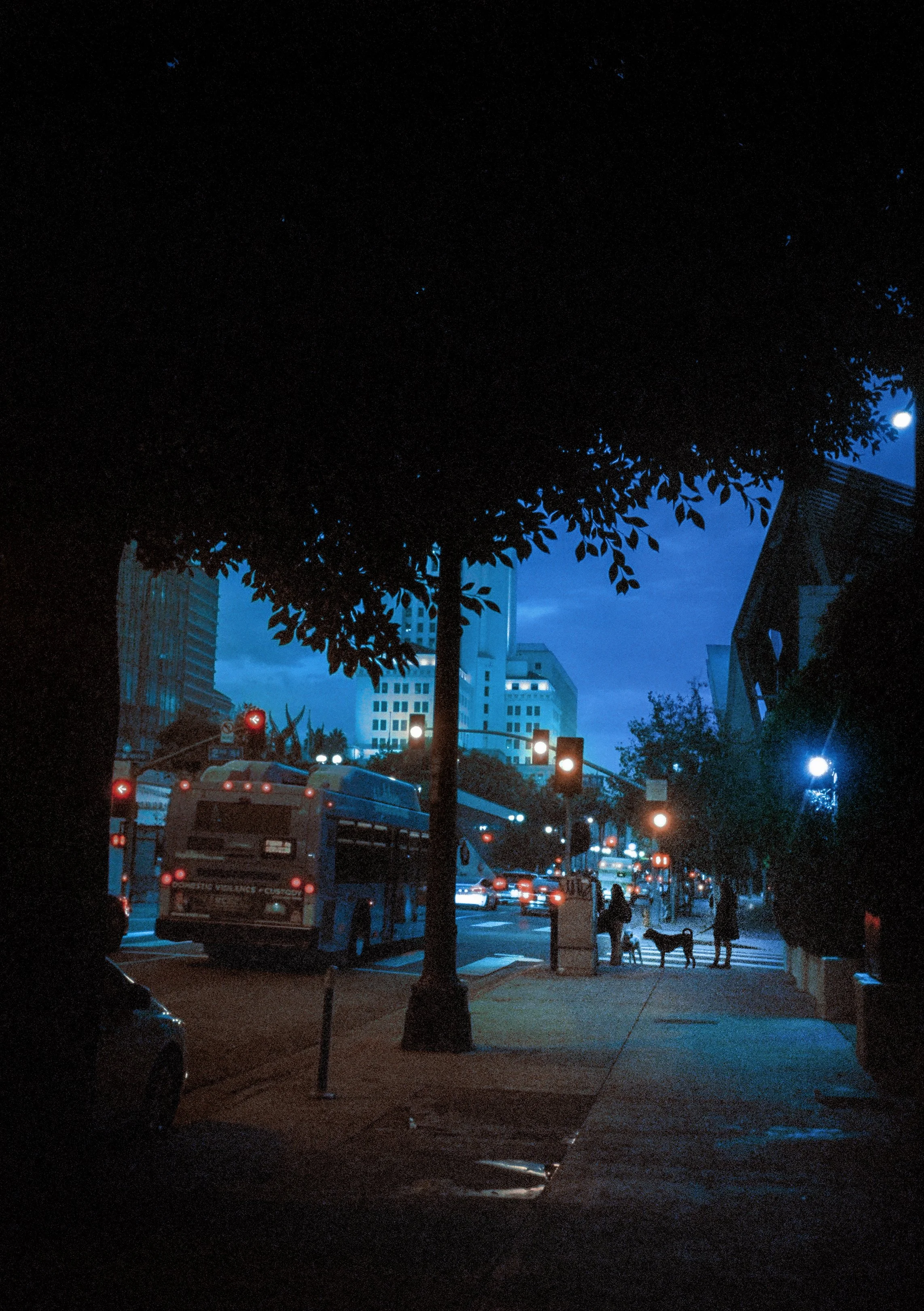 4624 - Foto-35 Comp lq.jpg