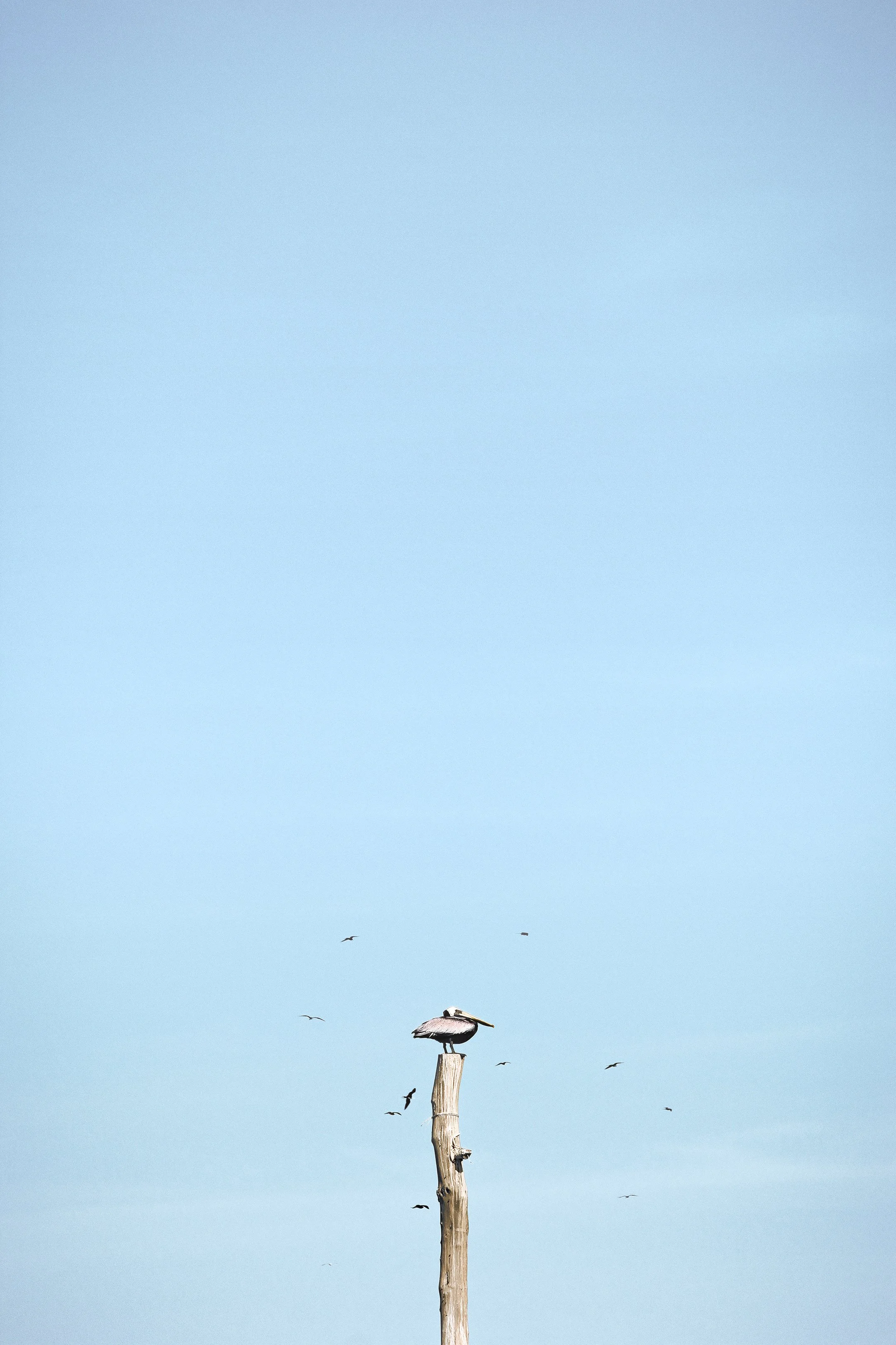 IMG_8553 Comp lq.jpg