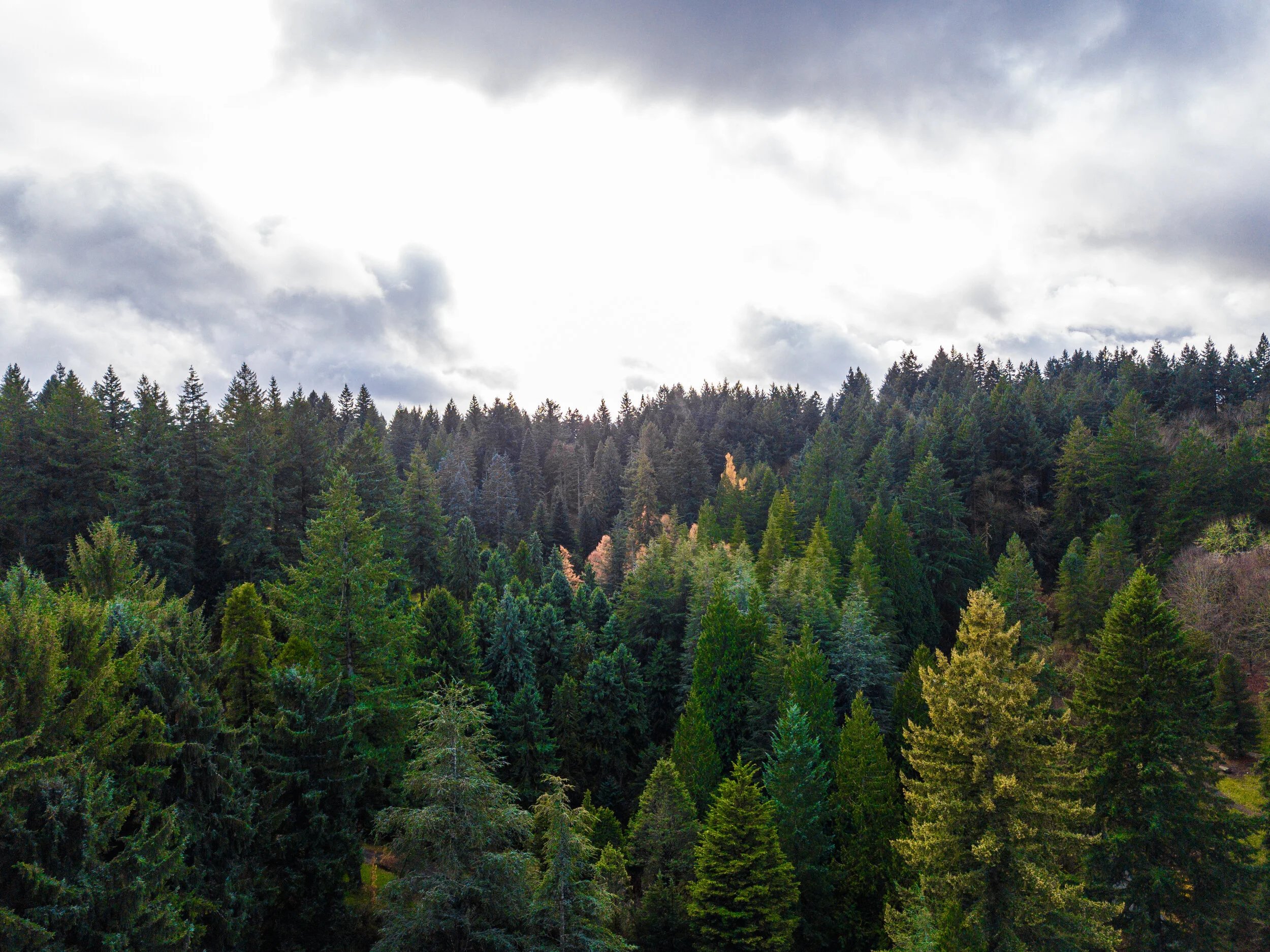 DJI_0038.jpg