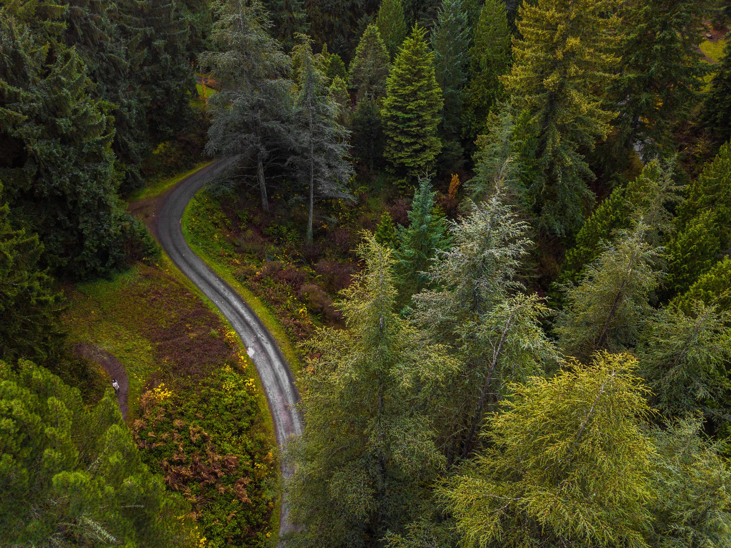 DJI_0040.jpg