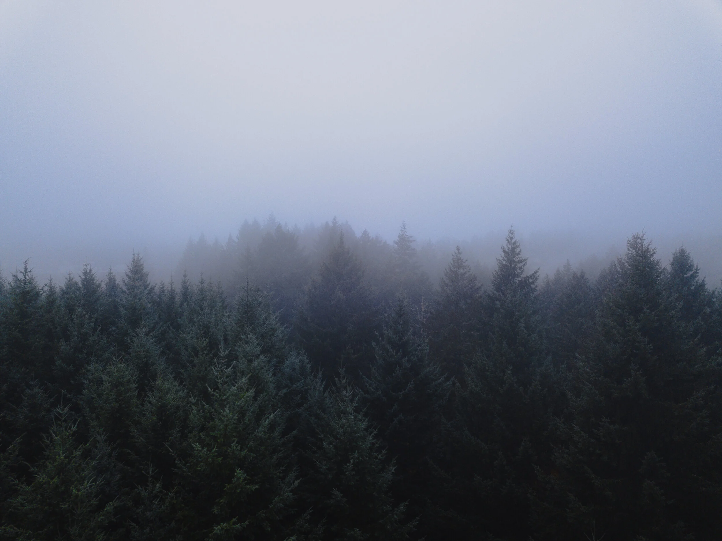 DJI_0020.jpg