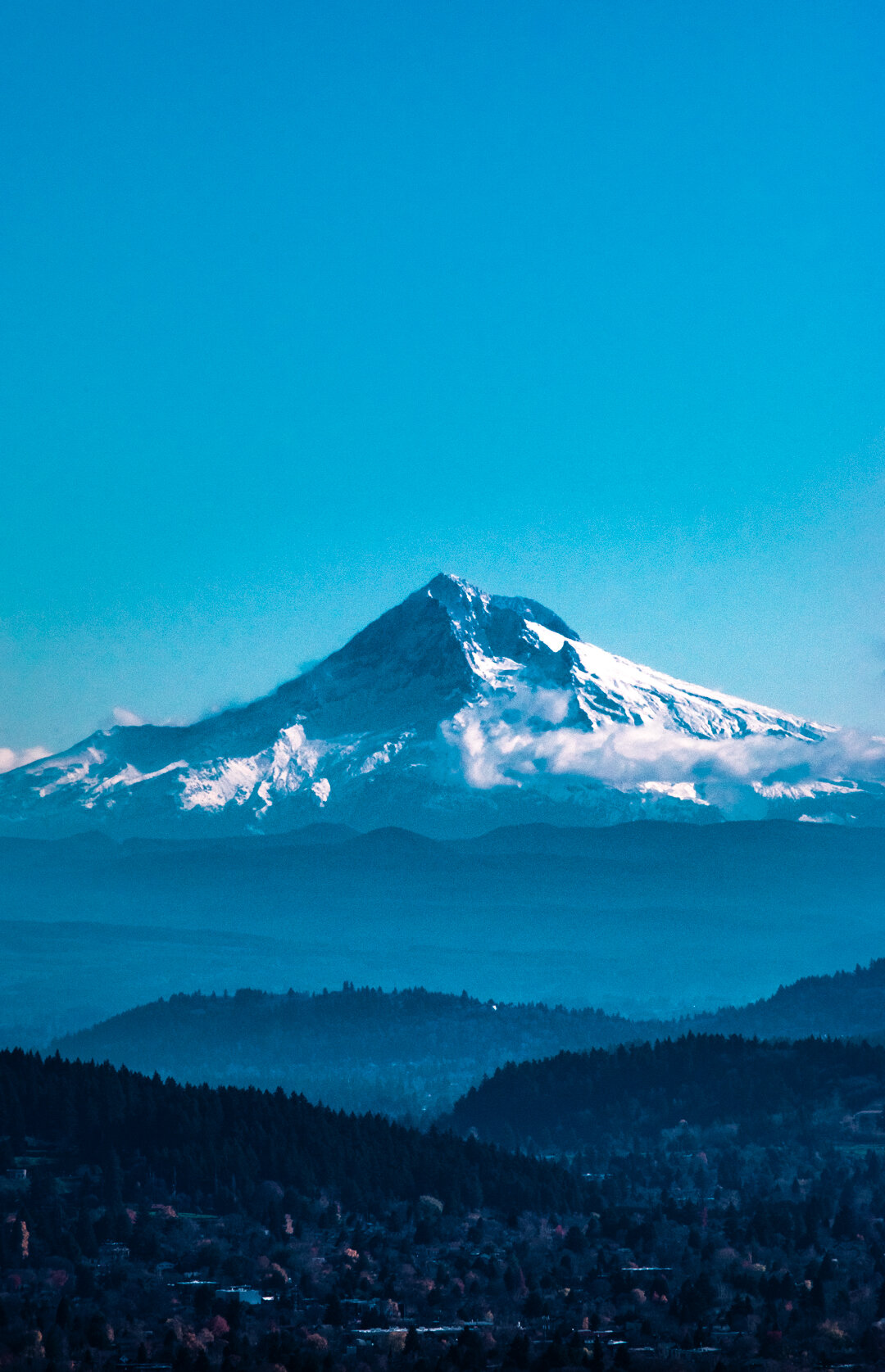 DSC_0149.jpg