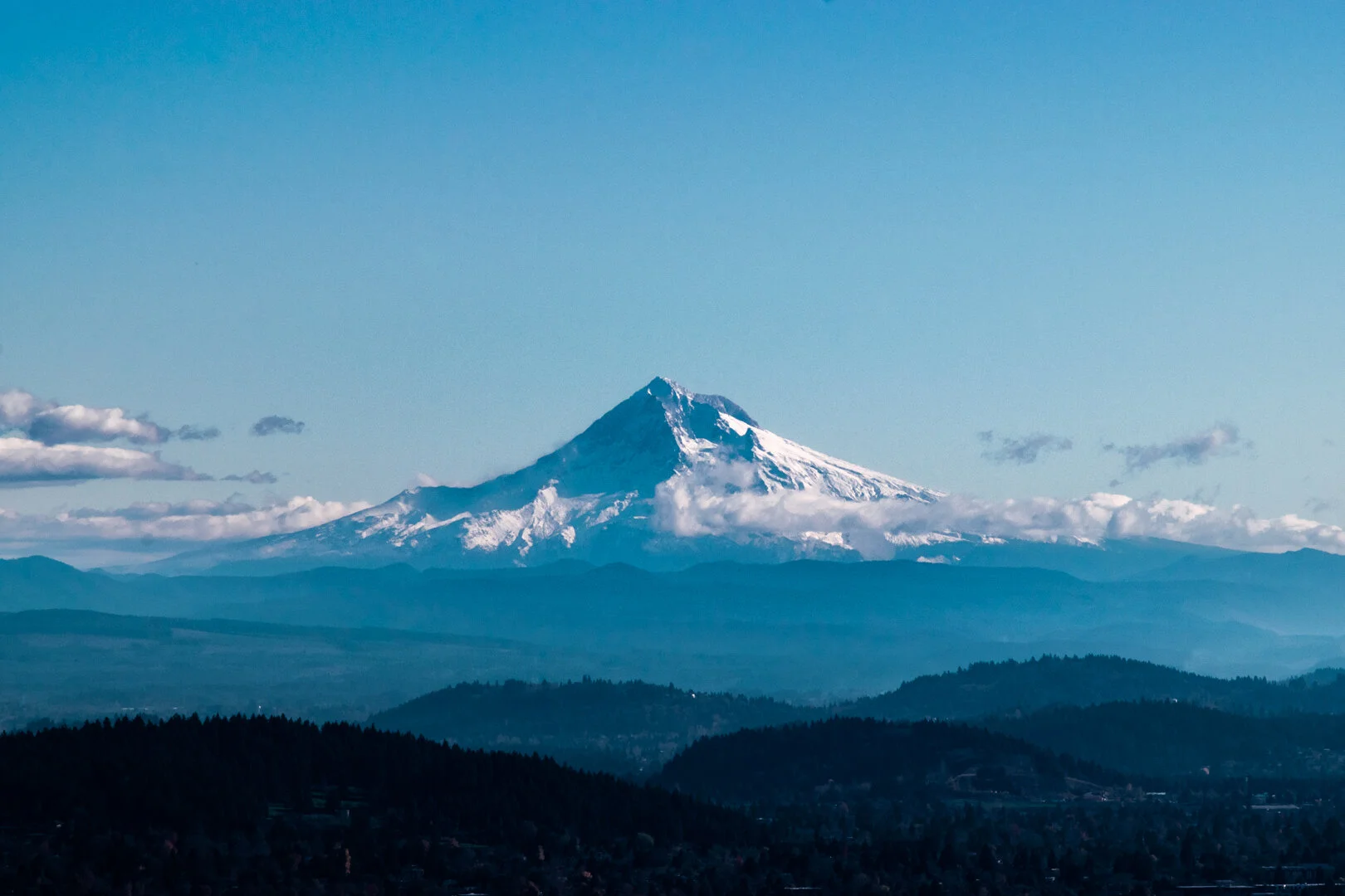 DSC_0151.jpg