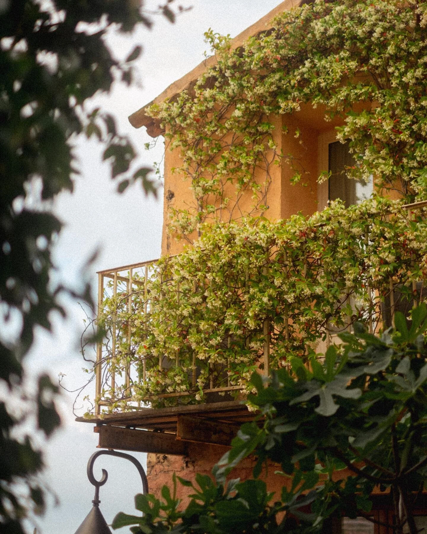 Thinking about France #fujifilm