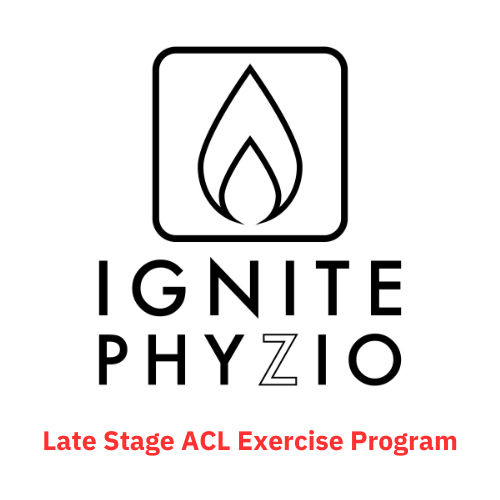 Ignite Shop Ignite Phyzio Physical Therapy Services In Orange County ignite-shop-ignite-phyzio-physical-therapy-services-in-orange-county