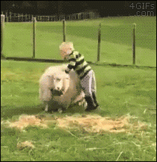 2:7.gif