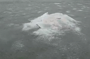 ice.gif